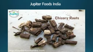 Jupiter Foods is one of the main leading chicory food industries in Etah, UP