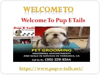 Pet Washing Places near me | Pet Cleaning near me