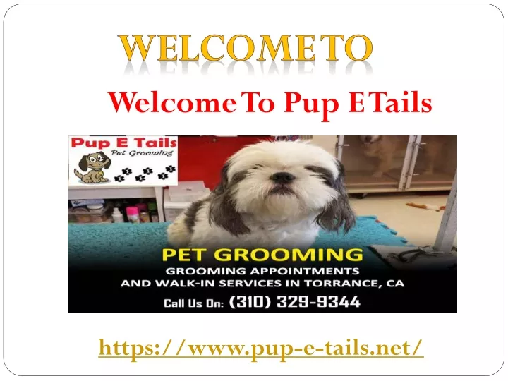 welcome to pup e tails