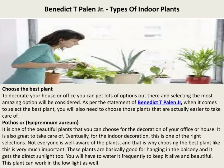 benedict t palen jr types of indoor plants