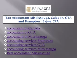 tax accountant mississauga caledon