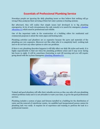 essentials of professional plumbing service