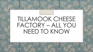 tillamook cheese factory all you need to know