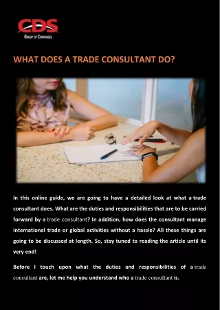 WHAT DOES A TRADE CONSULTANT DO