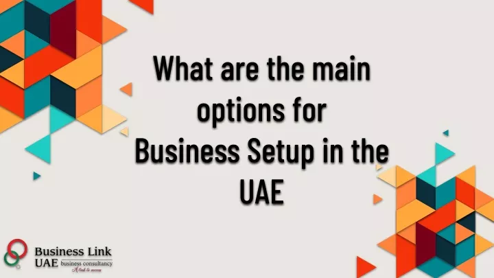 what are the main options for business setup