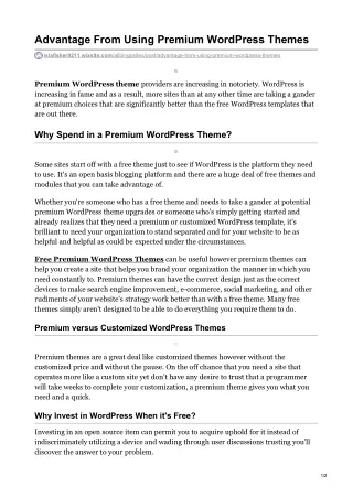 advantage from using premium wordpress themes
