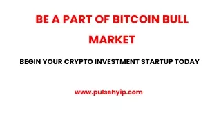 Begin your own Crypto Investment Startup - Pulsehyip