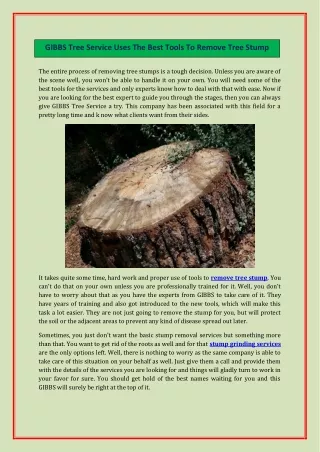 gibbs tree service uses the best tools to remove