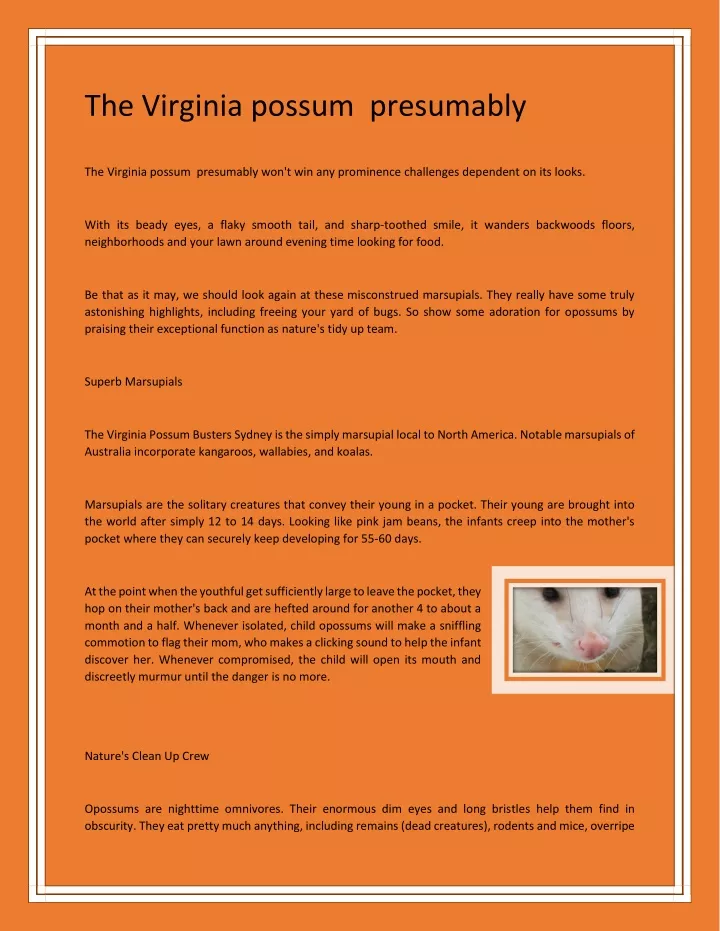 the virginia possum presumably