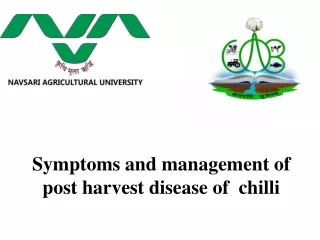 Post harvest diseases of Chilli