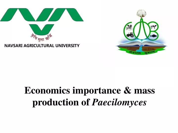 economics importance mass production of paecilomyces