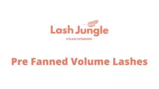 Pre Fanned Volume Lashes - Lash Jungle