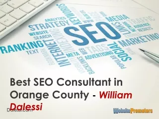 Best SEO Consultant in Orange County - William Dalessi
