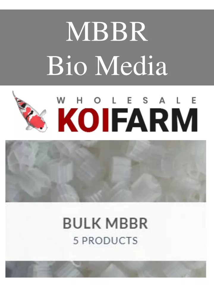 mbbr bio media