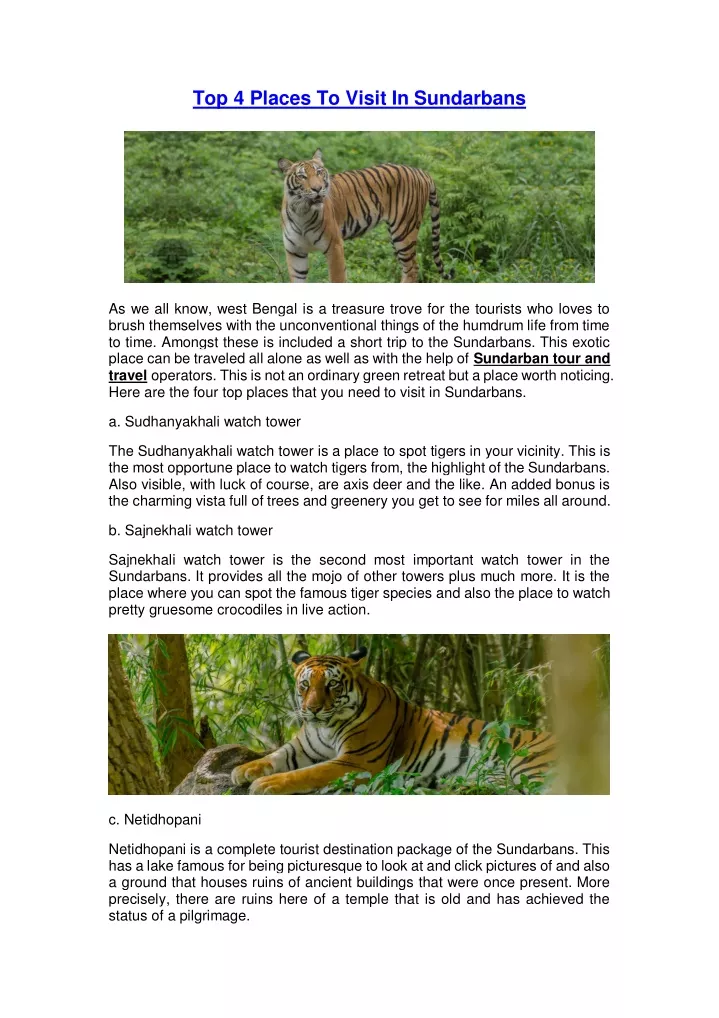 top 4 places to visit in sundarbans