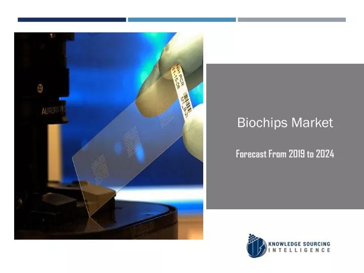 biochips market forecast from 2019 to 2024