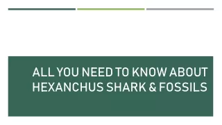 all you need to know about hexanchus shark fossils