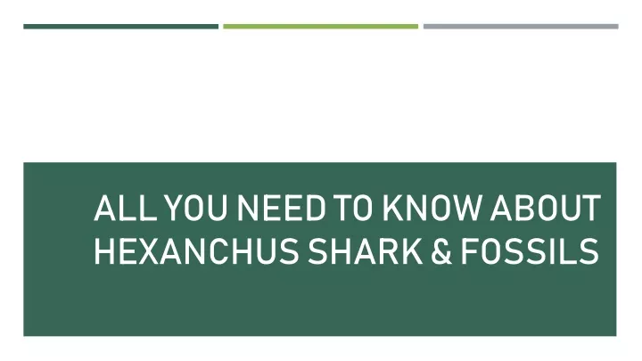 all you need to know about hexanchus shark fossils