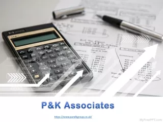 Professional Business Accountant