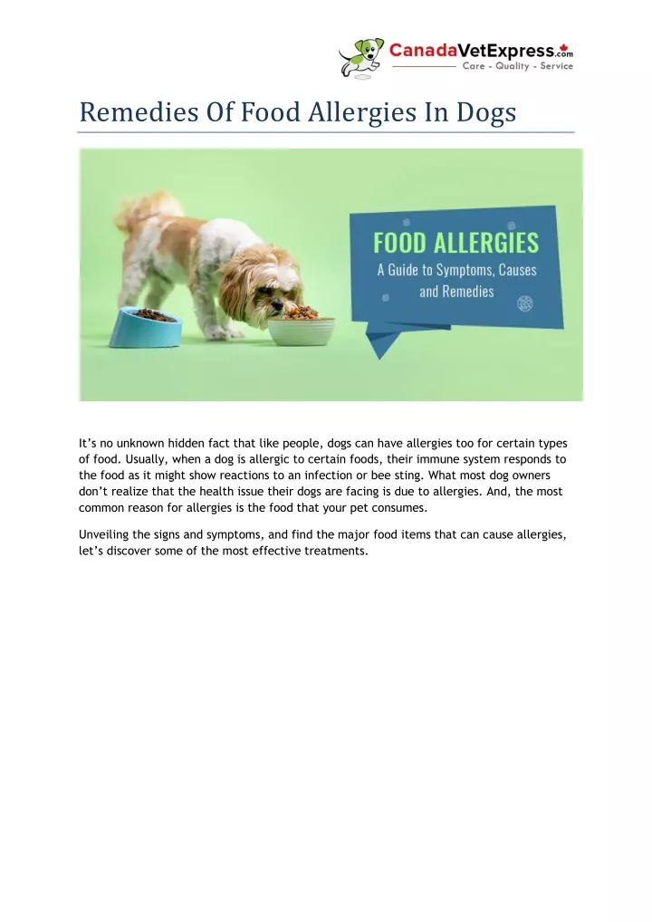 remedies of food allergies in dogs