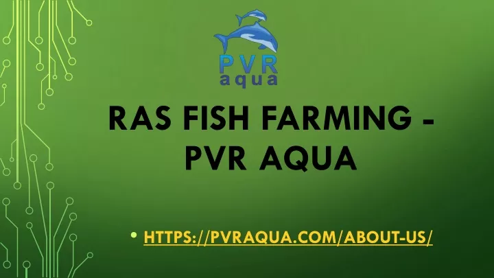 ras fish farming pvr aqua
