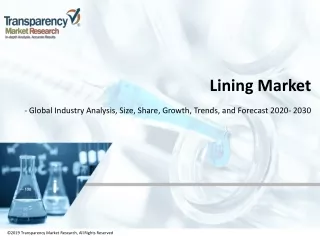 Lining Market| Global Industry Report, 2030