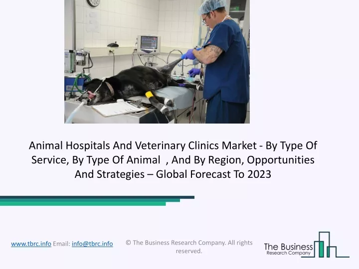 animal hospitals and veterinary clinics market