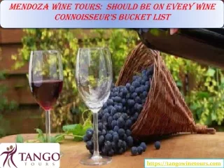 Mendoza Wine Tours:  Should Be On Every Wine Connoisseur’s Bucket List