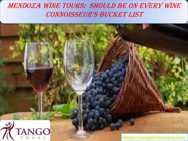 mendoza wine tours should be on every wine