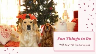 Fun Things to Do With Your Pet This Christmas