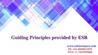 Guiding Principles provided by ESB