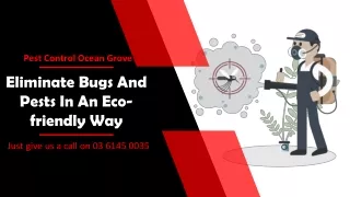Eliminate Bugs And Pests In An Eco friendly Way | Pest Control Ocean Grove