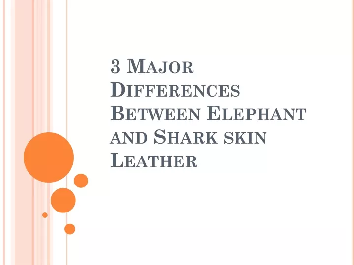 3 major differences between elephant and shark skin leather