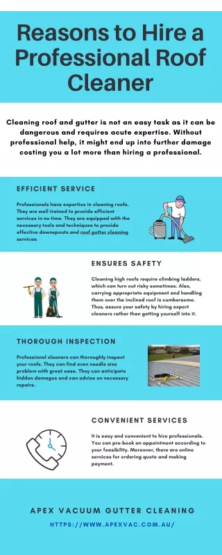 Reasons to Hire a Professional Roof Cleaner