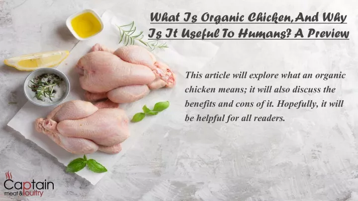 what is organic chicken and why is it useful