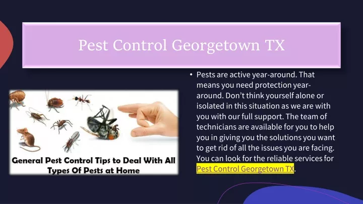 pest control georgetown tx