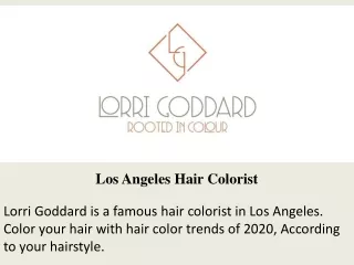 Los Angeles Hair Colorist