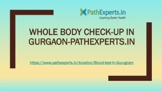 whole body check whole body check up in gurgaon