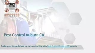 Pest Control Auburn CA