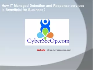 Managed Detection and Response Services (MDR), CSO Security Consulting Services