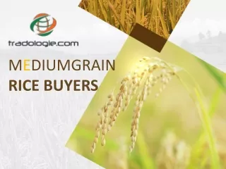 Export/import medium-grain rice through TRADOLOGIE.COM