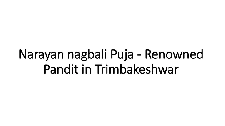 narayan nagbali puja renowned pandit in trimbakeshwar