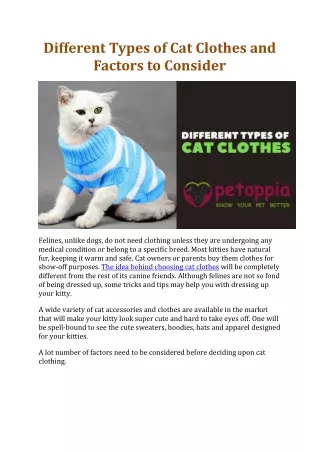 Different Types of Cat Clothes and Factors to Consider