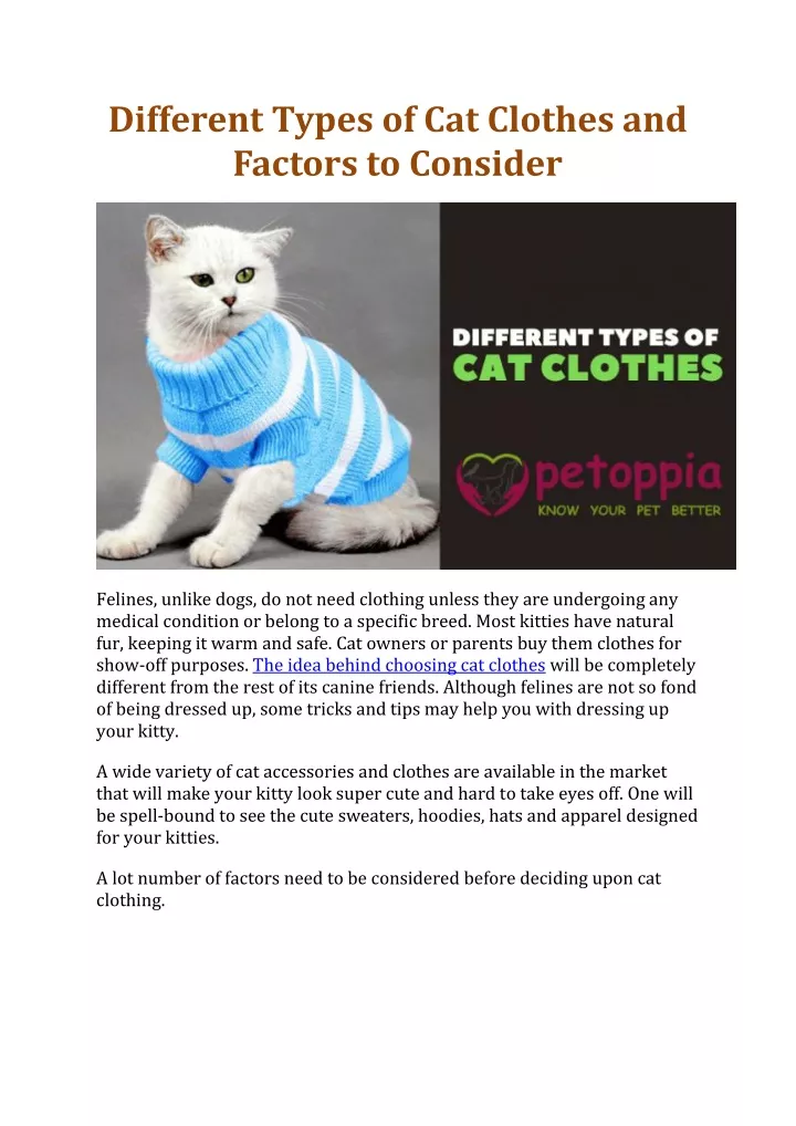 different types of cat clothes and factors