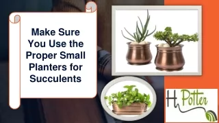 Make Sure You Use the Proper Small Planters for Succulents