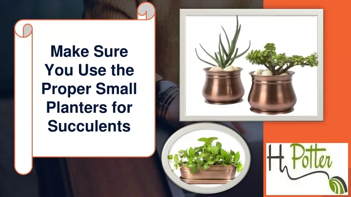 make sure you use the proper small planters