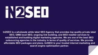 in2seo is a wholesale white label seo agency that