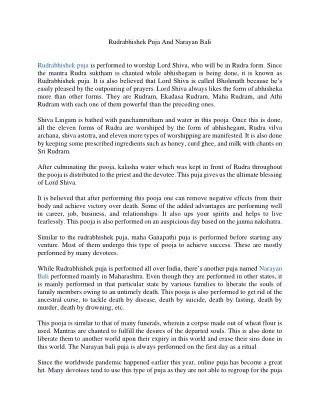 rudrabhishek puja and narayan bali