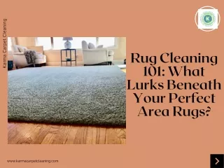 Rug Cleaning 101: What Lurks Beneath Your Perfect Area Rugs?