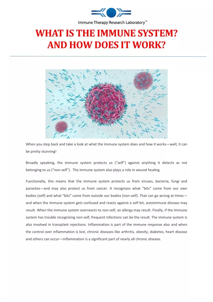 what is the immune system and how does it work